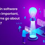 Why is the MVP in software development so important, and how can firms go about implementing it?