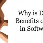 Why is Diversity and Benefits of Diversity in Software Test?